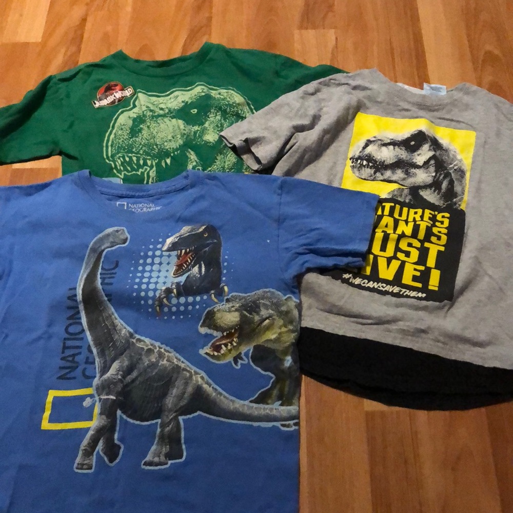 Boys dinosaur shirts